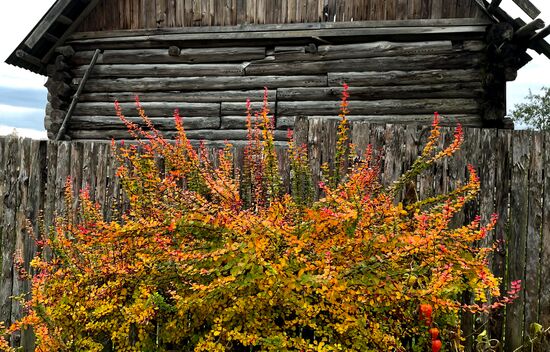 #Discovering Russia. Pskov