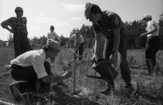Gathering of school forestries in Udmurtia