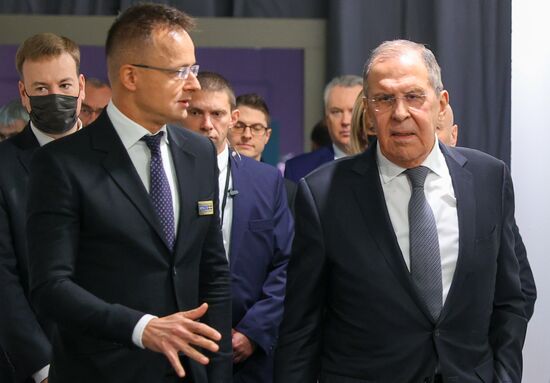 Sweden OSCE Ministerial Council