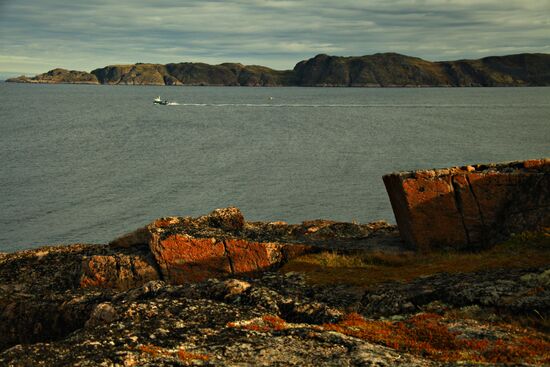 Barents Sea shore in Teriberka