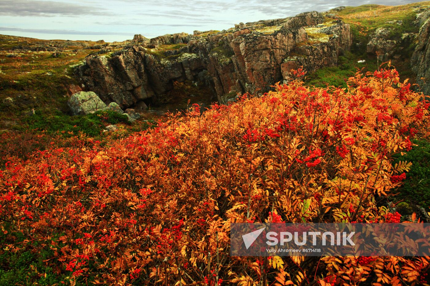 Arctic in fall