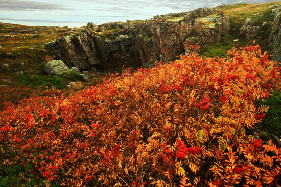 Arctic in fall