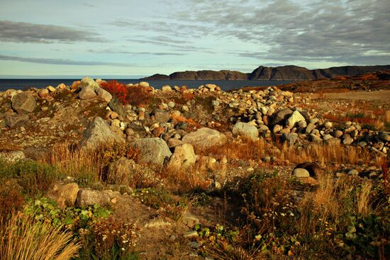 Shore of Barents Sea near Teriberka