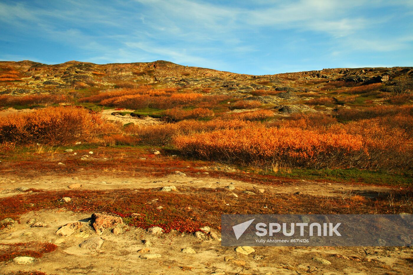Arctic in fall