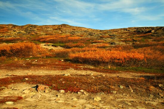 Arctic in fall