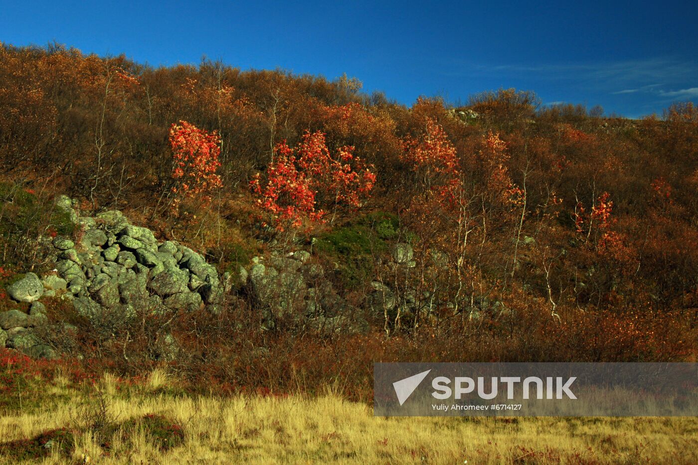 Arctic in fall