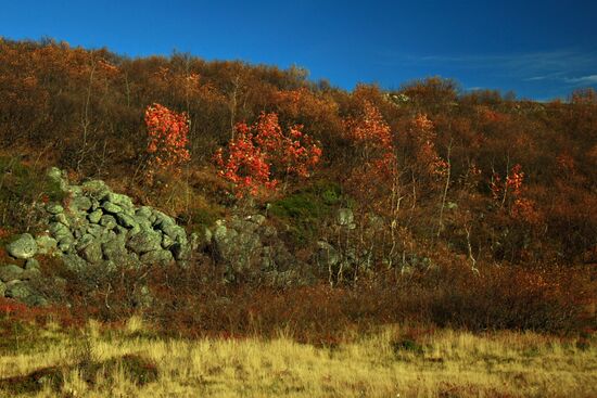 Arctic in fall