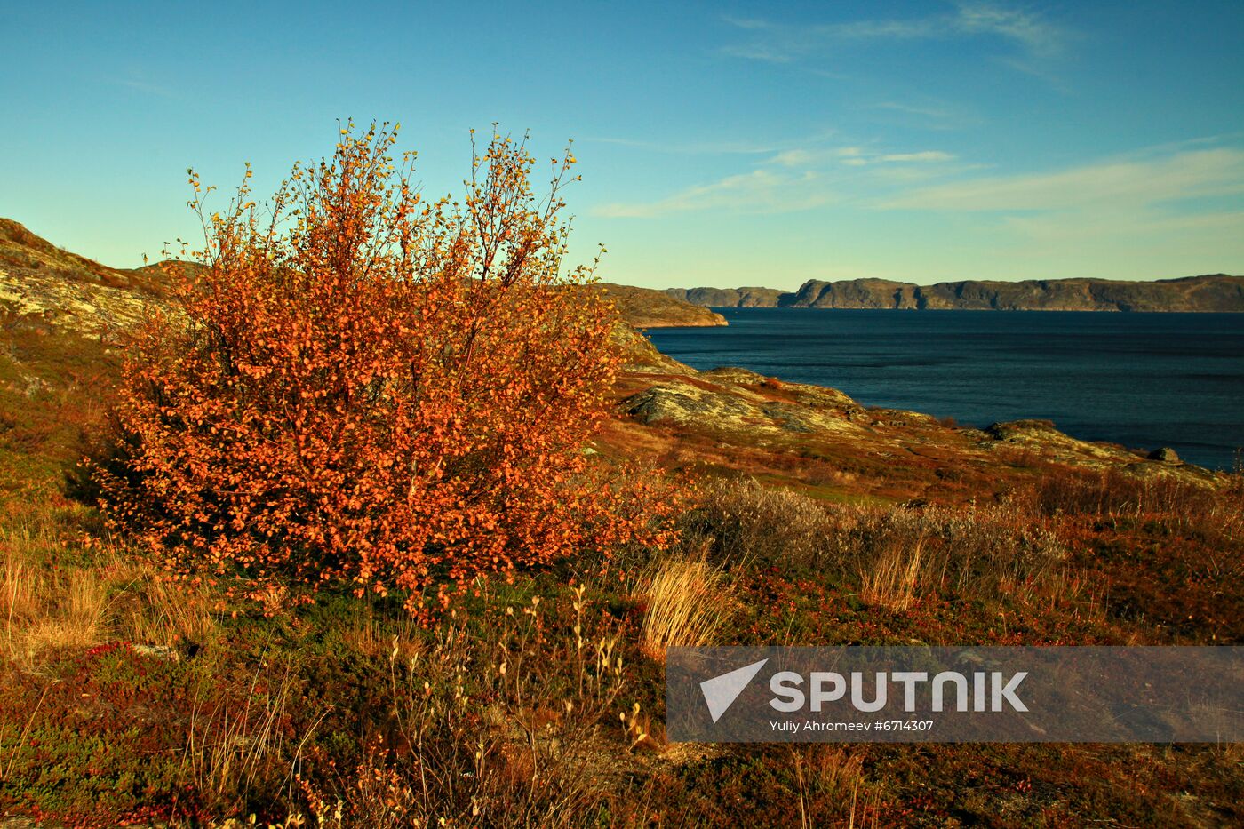Arctic in fall