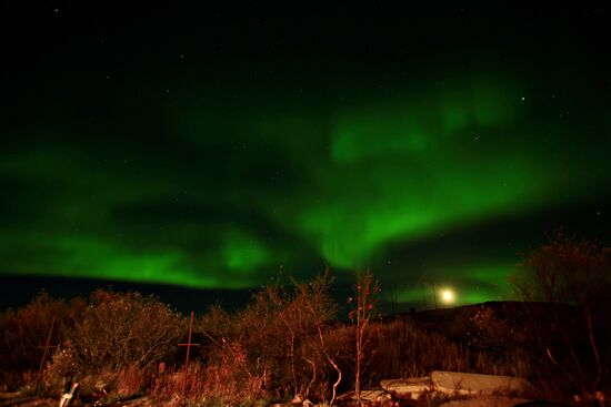 Northern lights near Teriberka