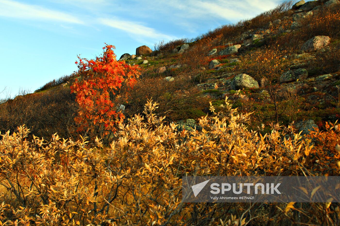 Arctic in fall