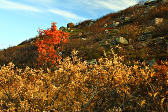 Arctic in fall