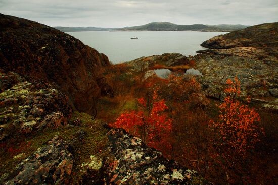 Autumn Arctic landscape on Barents Sea coast