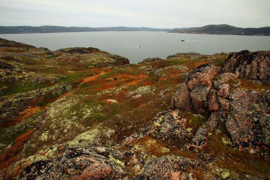 Autumn Arctic landscape