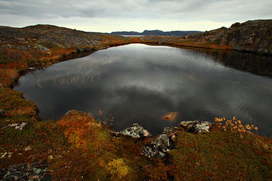 Autumn Arctic landscape