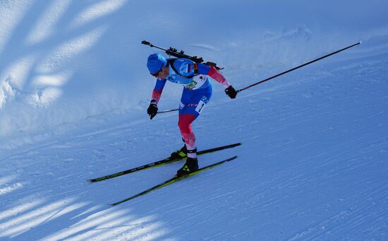 Austria Biathlon World Cup Men