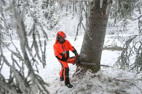 Russia New Year Festive Season Preparations