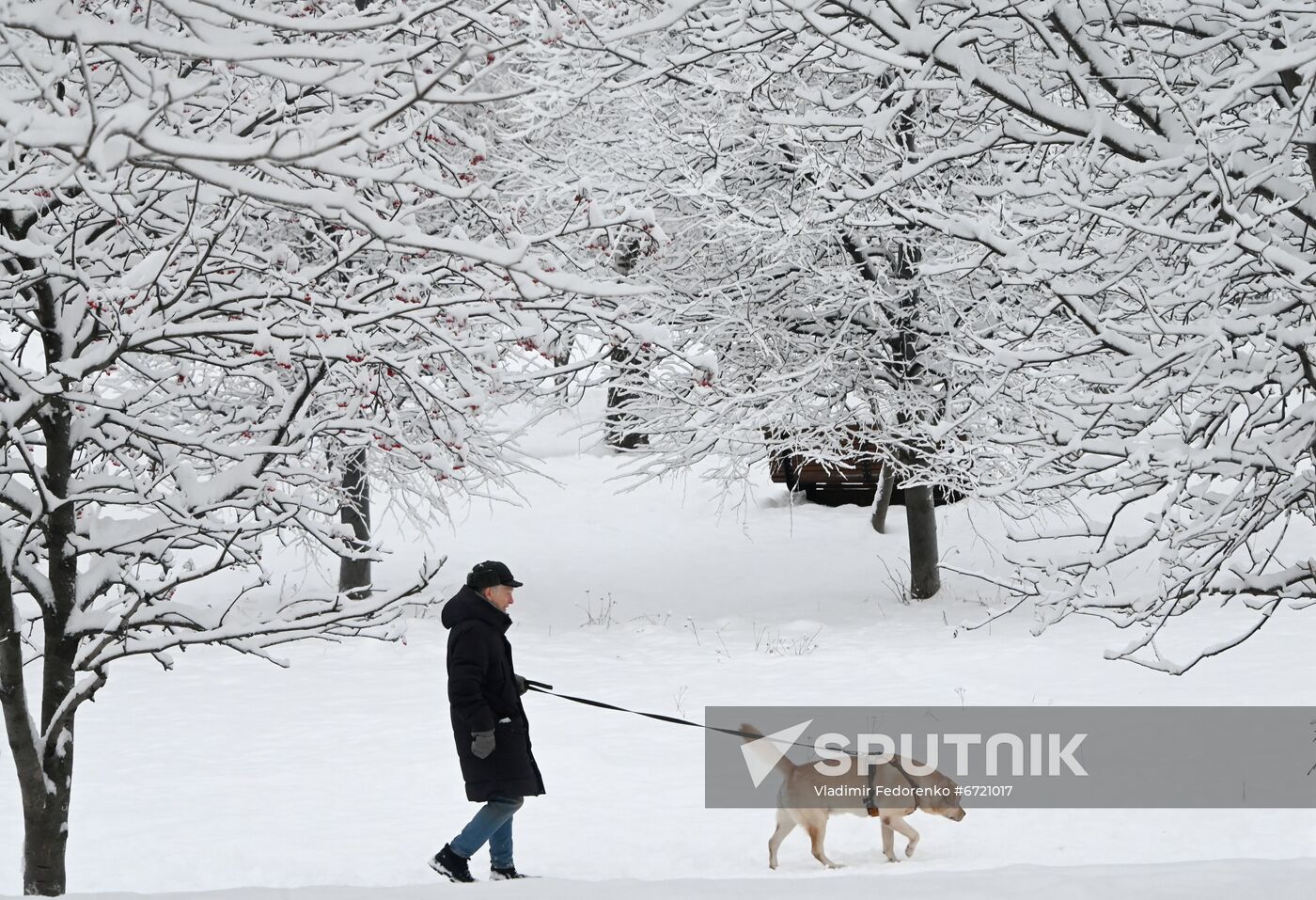 Russia Weather