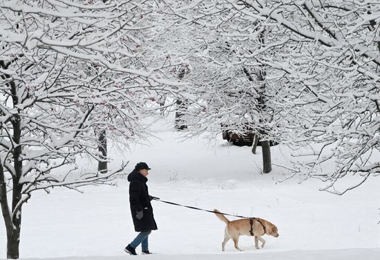 Russia Weather