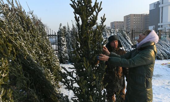Russia New Year Festive Season Preparations