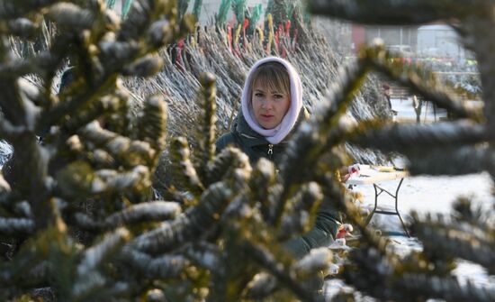 Russia New Year Festive Season Preparations