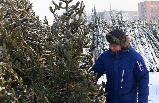Russia New Year Festive Season Preparations