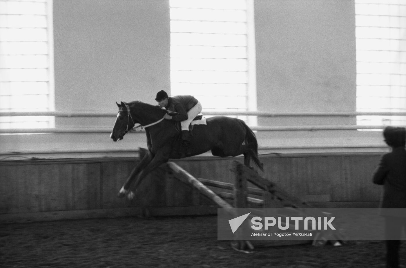International Horse Auction in Rostov-on-Don.