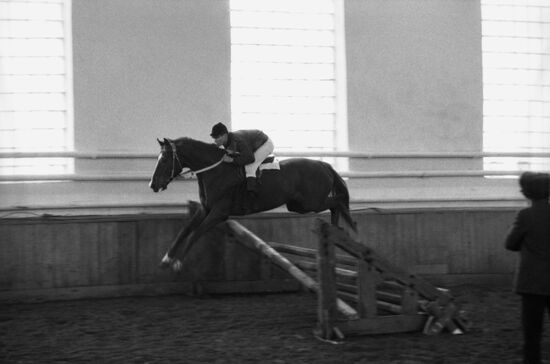 International Horse Auction in Rostov-on-Don.