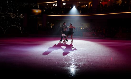 Russia Swan Lake Ice Show