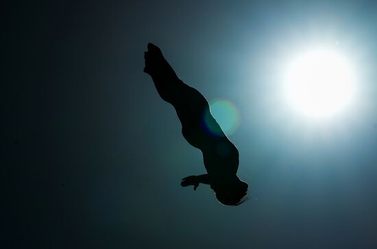 UAE FINA Aquatics Festival