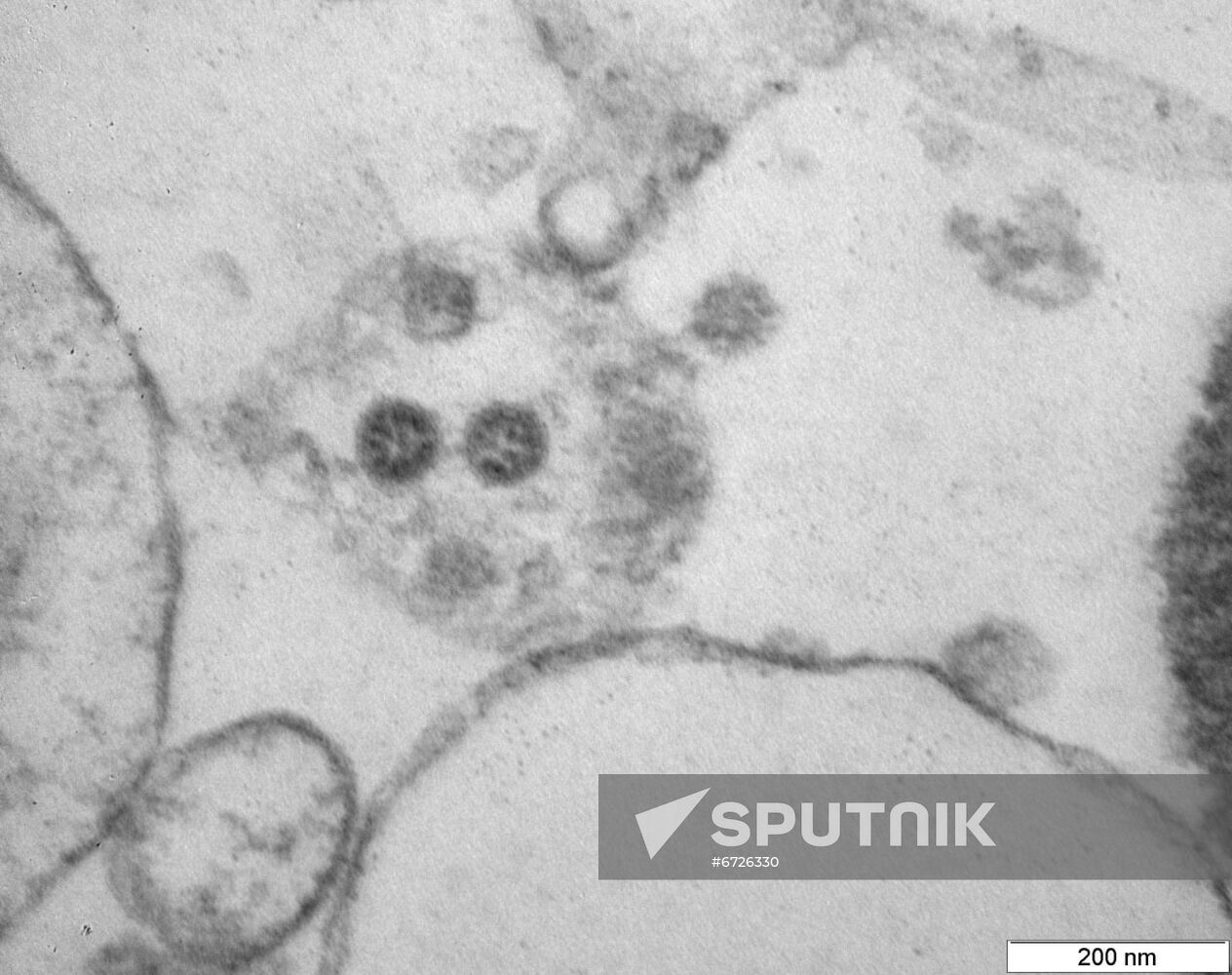 Russia Coronavirus Omicron Variant