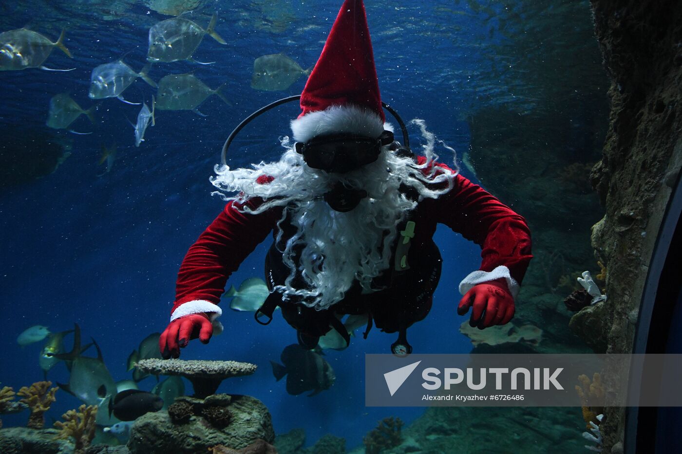 Russia Christmas Season Santa Diver