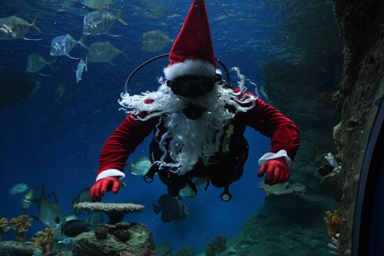 Russia Christmas Season Santa Diver