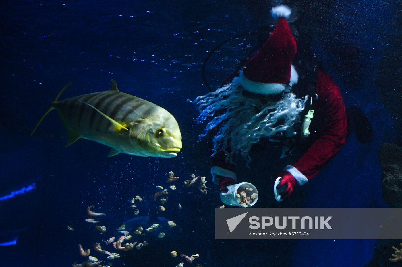Russia Christmas Season Santa Diver