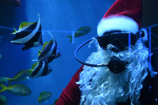 Russia Christmas Season Santa Diver