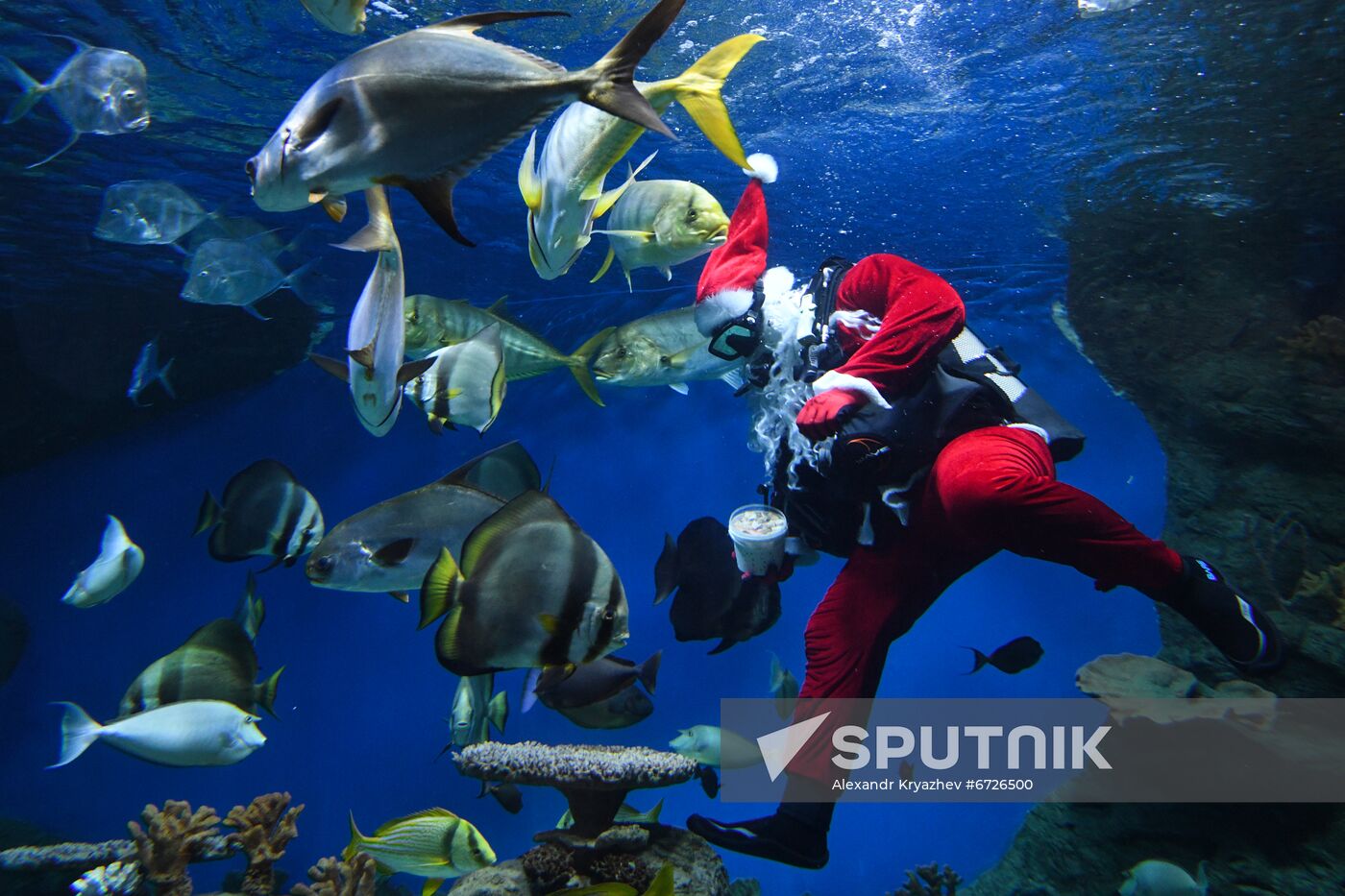 Russia Christmas Season Santa Diver