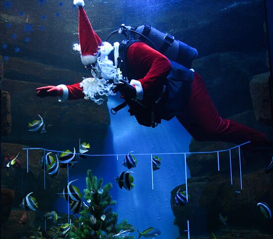 Russia Christmas Season Santa Diver