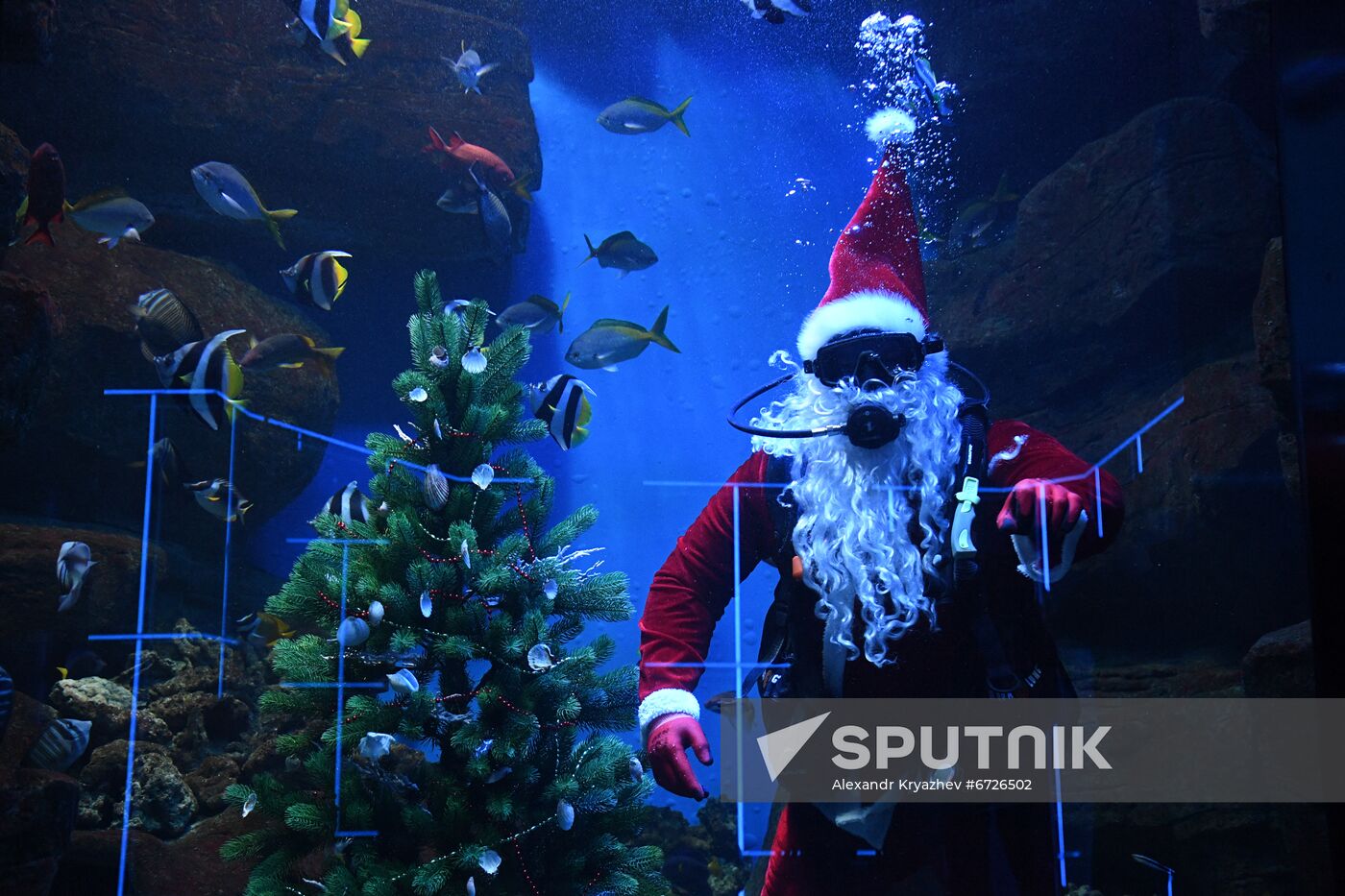 Russia Christmas Season Santa Diver