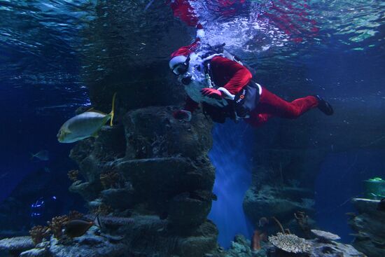 Russia Christmas Season Santa Diver