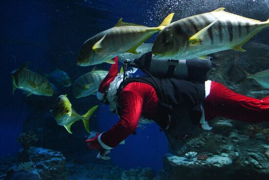 Russia Christmas Season Santa Diver