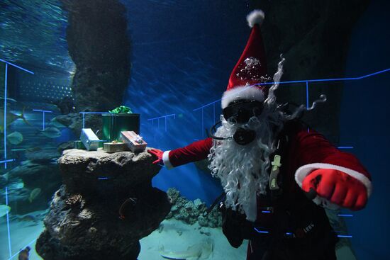Russia Christmas Season Santa Diver