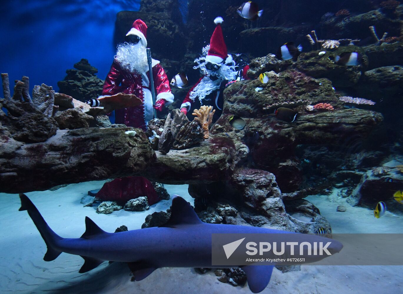 Russia Christmas Season Santa Diver