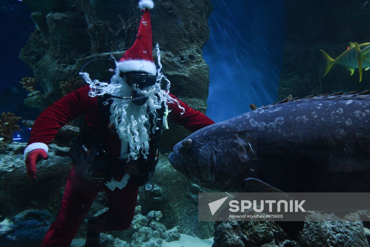 Russia Christmas Season Santa Diver