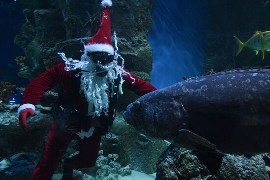 Russia Christmas Season Santa Diver