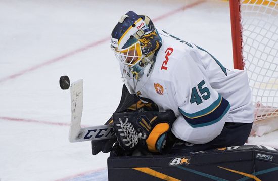 Russia Ice Hockey Dynamo - Sochi