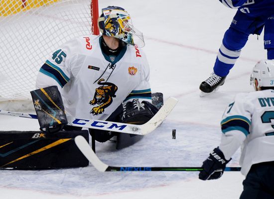 Russia Ice Hockey Dynamo - Sochi