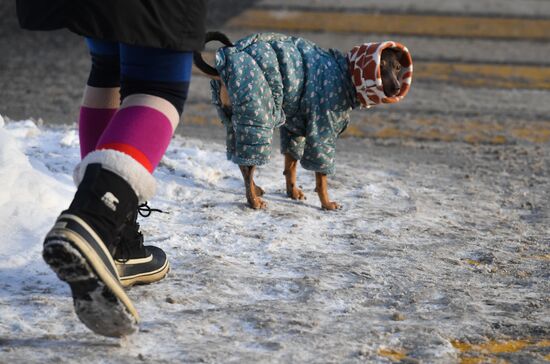 Russia Weather