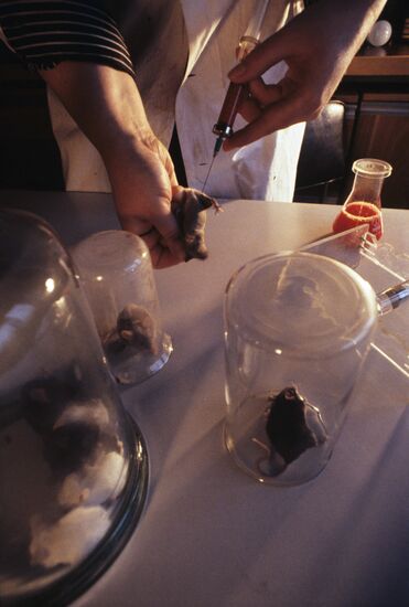 Institute of Experimental Medicine