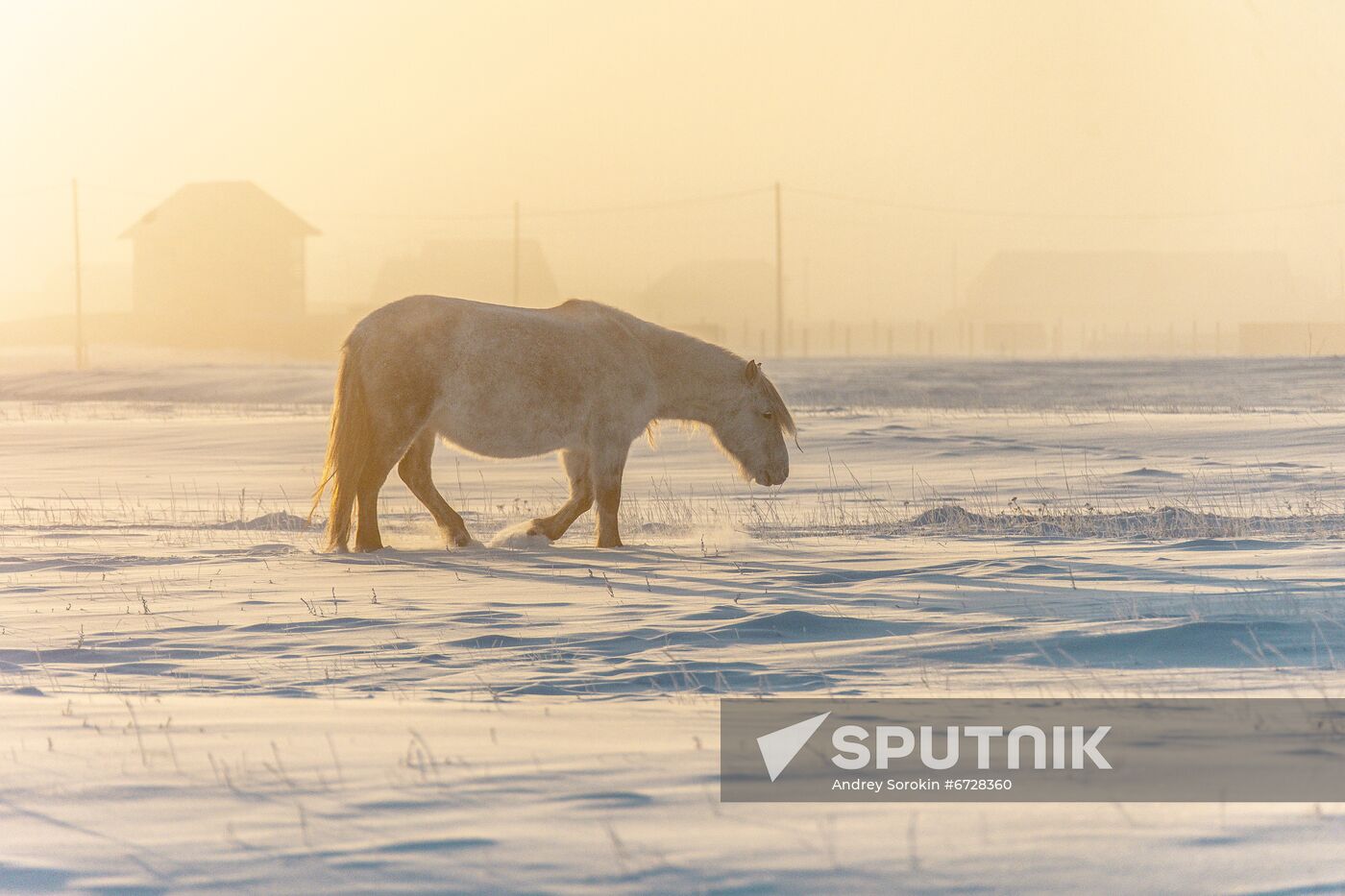 Russia Weather
