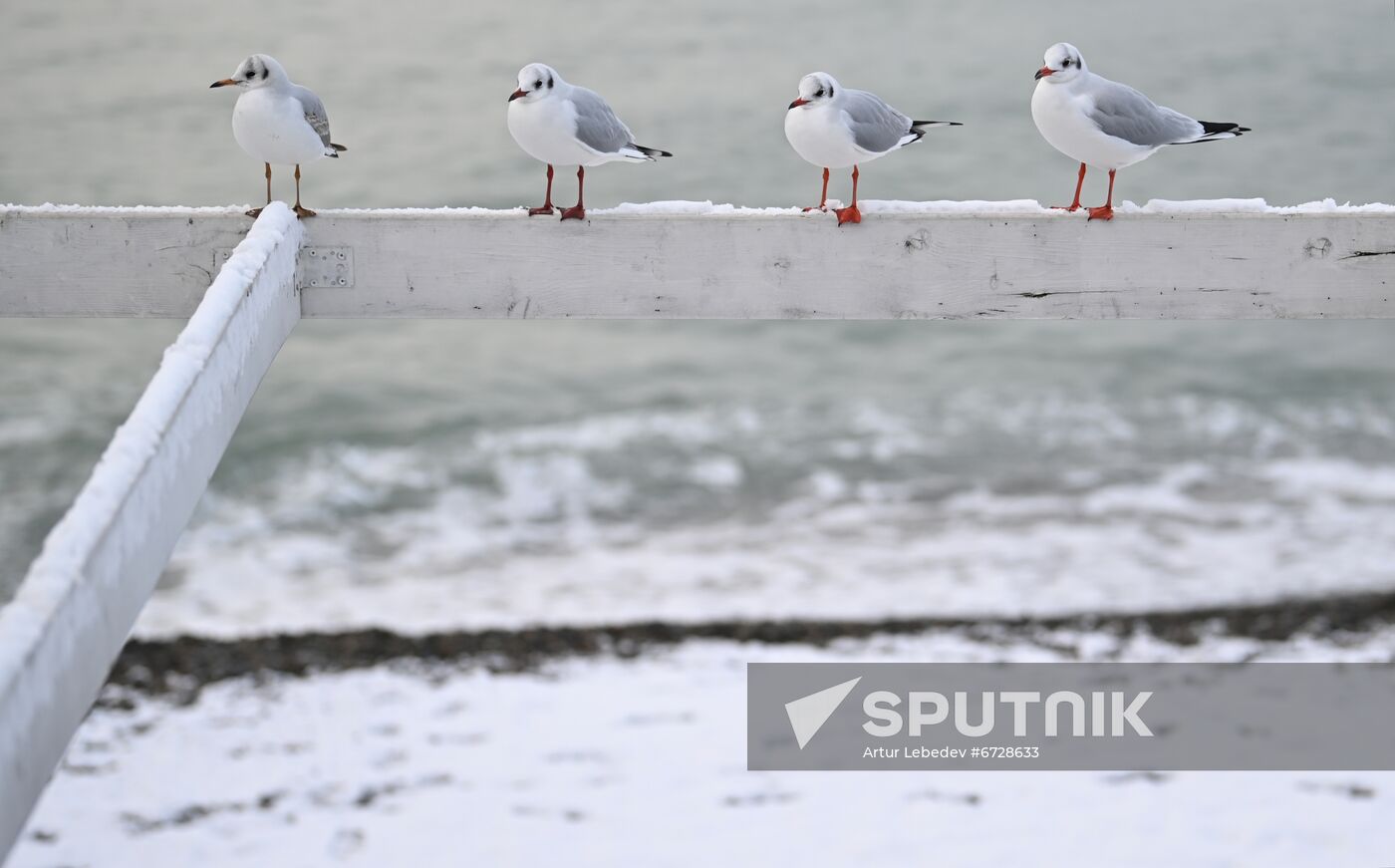 Russia Weather