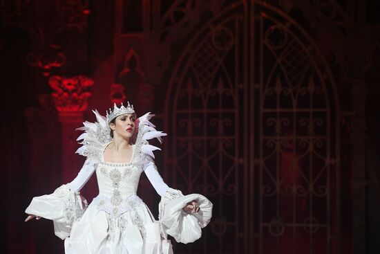 Russia Swan Lake Ice Show